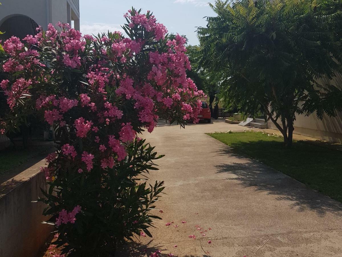 זאטון Sunset Apartments Zaton מראה חיצוני תמונה